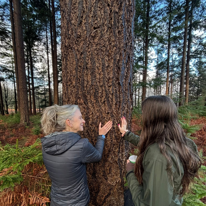 Outdoor coaching, Forest bathing coach in Kent