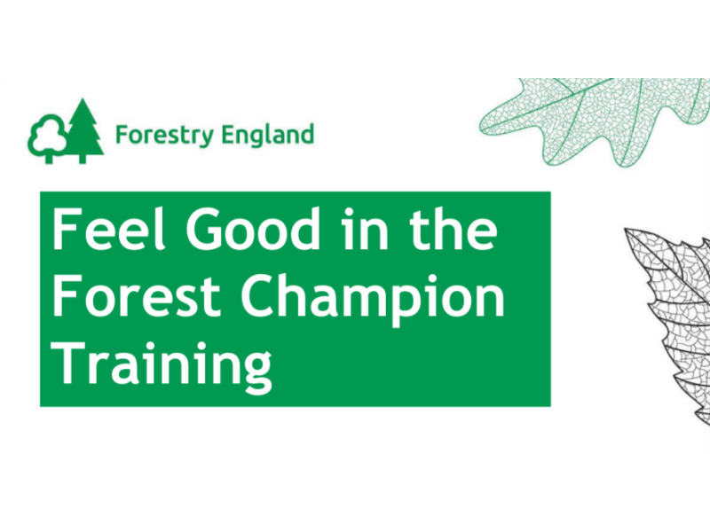Forestry England Feel Good, Maria Callow , Kent